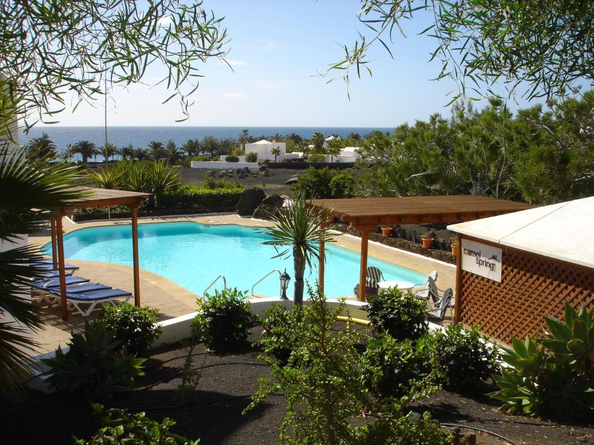 Camel'S Spring Club Leilighet Costa Teguise Eksteriør bilde